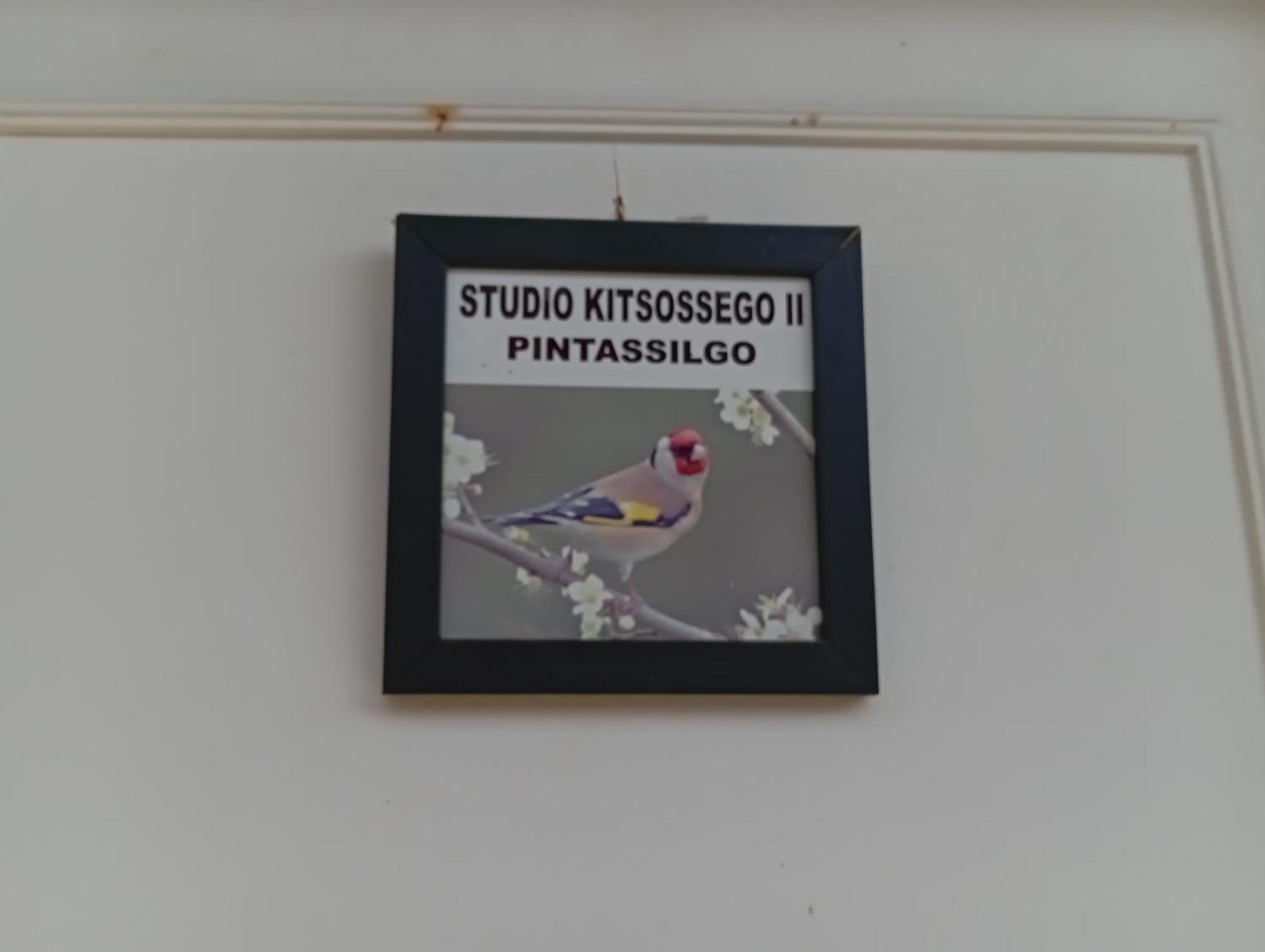 Studio Kitsossego Курітіба Екстер'єр фото